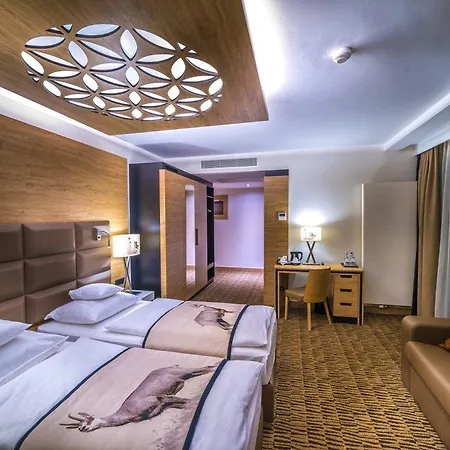 ريزيدينسيا نوسالوفي دفور 4*