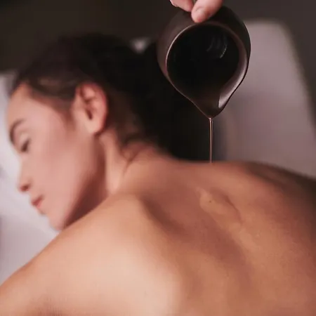 فندق ريزيدينسيا نوسالوفي دفور 4*
