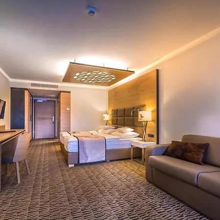 莱兹德西亚诺萨罗伊德瓦酒店 酒店