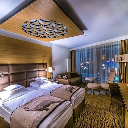 莱兹德西亚诺萨罗伊德瓦酒店 4*