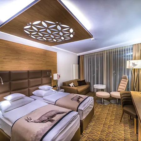 酒店 莱兹德西亚诺萨罗伊德瓦酒店 4*