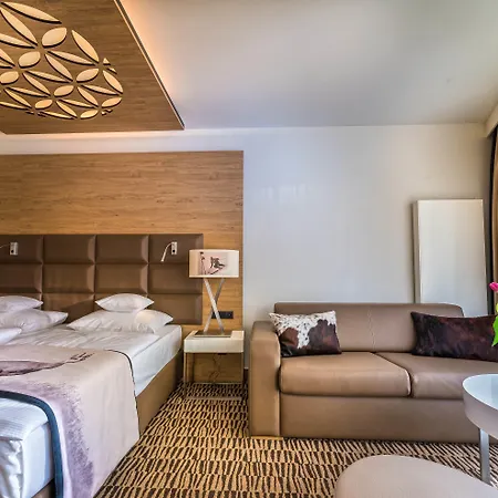 莱兹德西亚诺萨罗伊德瓦酒店 4*