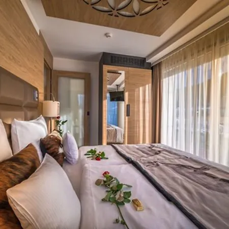 莱兹德西亚诺萨罗伊德瓦酒店 酒店 扎科帕内