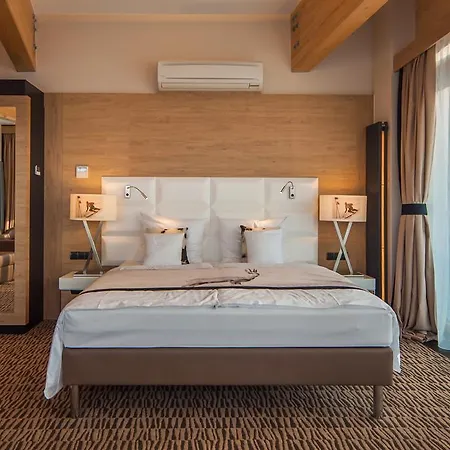 莱兹德西亚诺萨罗伊德瓦酒店 扎科帕内