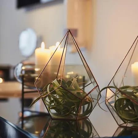 酒店 莱兹德西亚诺萨罗伊德瓦酒店